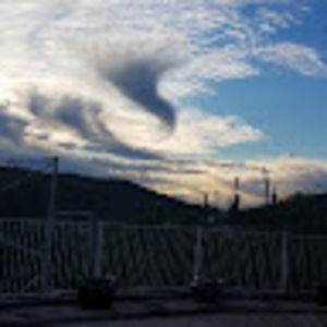 Meet your Posher, Roberta j.